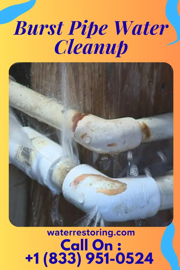 Burst Pipe Water Cleanup in Ottawa, OH