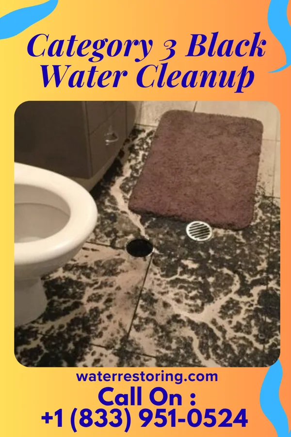 Category 3 Black Water Cleanup in Ottawa, OH