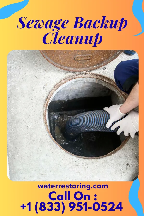 Sewage Backup Cleanup in Ottawa, OH