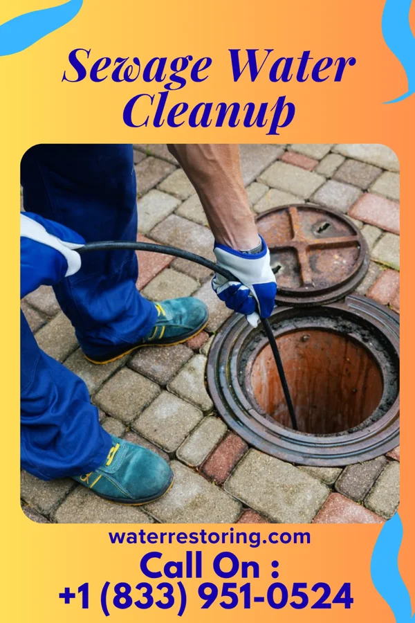 Sewage Water Cleanup in Ottawa, OH