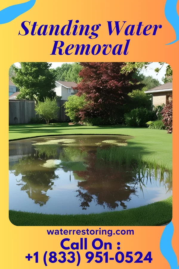 Standing Water Removal in Ottawa, OH